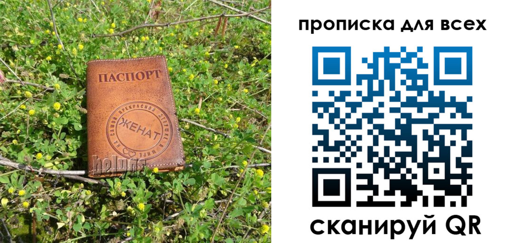прописка поиск в Приморском крае